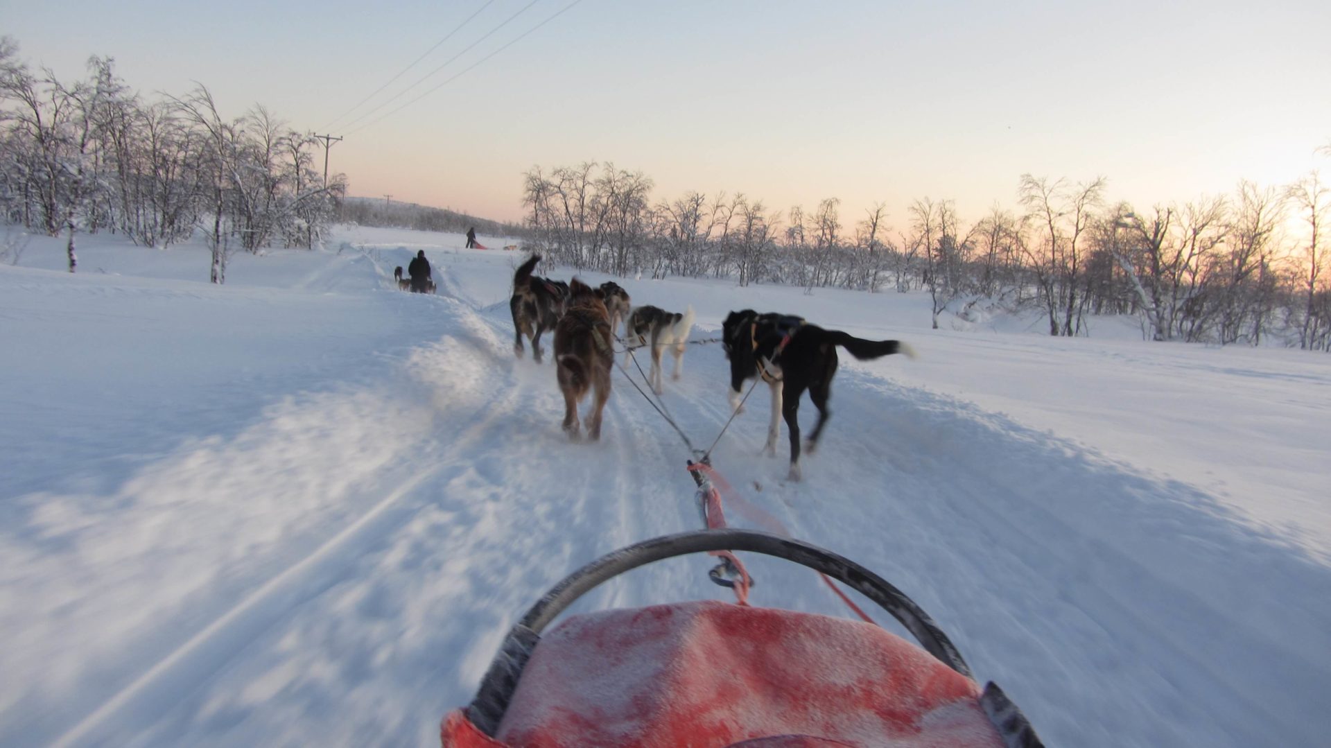 Eine Huskeyschlittentour durch das arktische Schwedisch-Lappland offenbart unvergessliche Ausblicke.