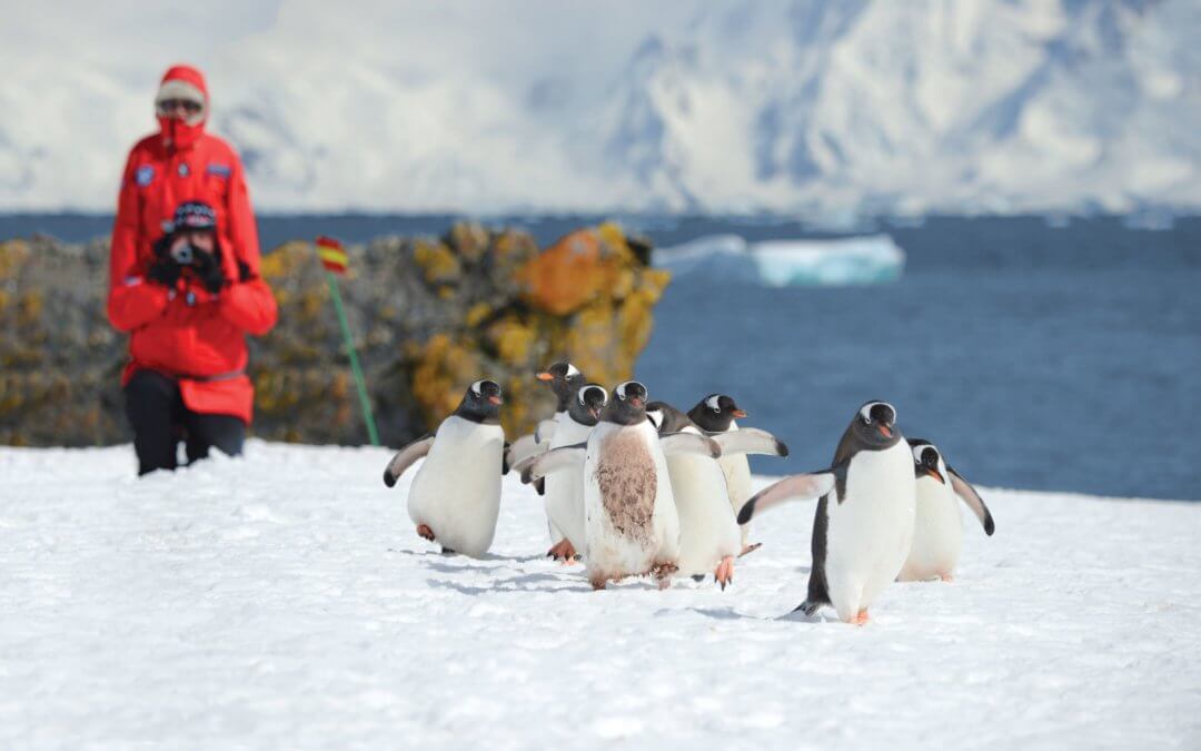 Antarktische Halbinsel: Im Reich der Pinguine und Eisberge | MS Sea Spirit