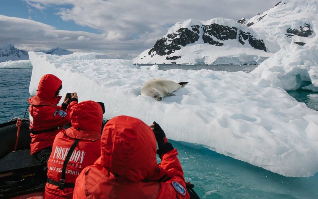 Unberührte Antarktis mit Überquerung des Südpolarkreises | MS Sea Spirit