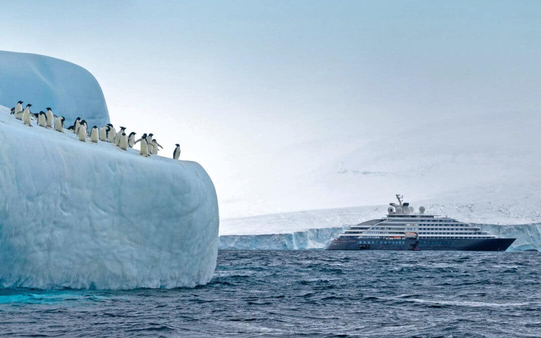 Antarktis, Südgeorgien und Falklandinseln | MS Scenic Eclipse | MS Scenic Eclipse II