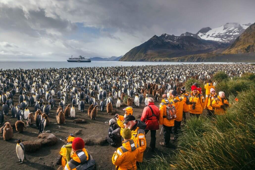 Strand mit riesiger Pinguinkolonie in der Antarktis