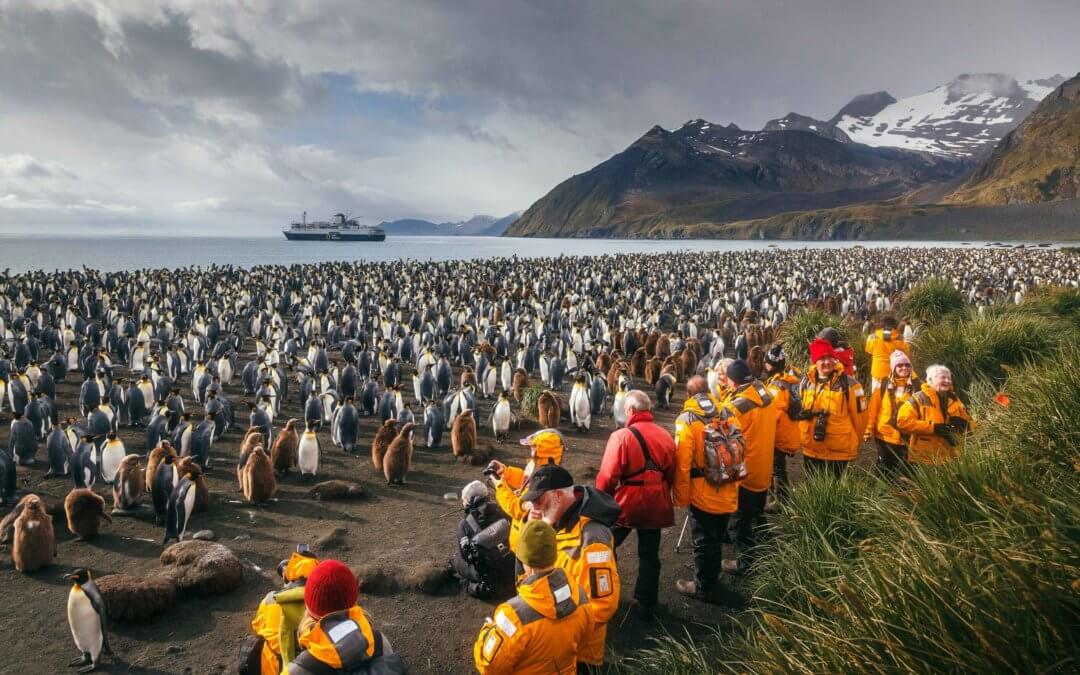 Pinguin-Safari auf Südgeorgien und der Antarktischen Halbinsel | MS World Voyager | MS Ocean Explorer