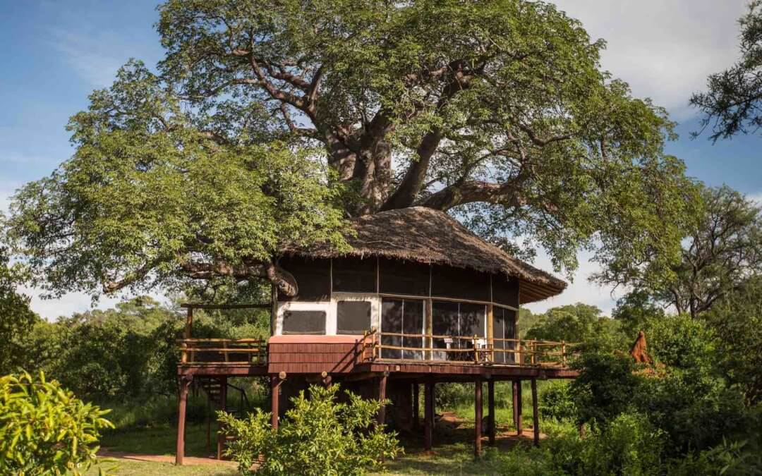 Elewana Tarangire Treetops – Baumhaus-Traum & Baobabs