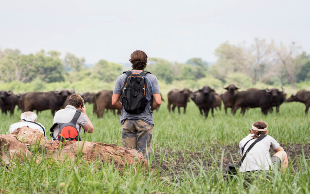 Busch-Training: Ausbildung zum Ranger und Wildnis-Guide