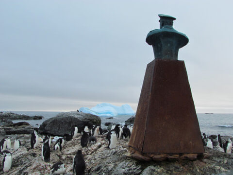 Point Wild Statue Elephant Island