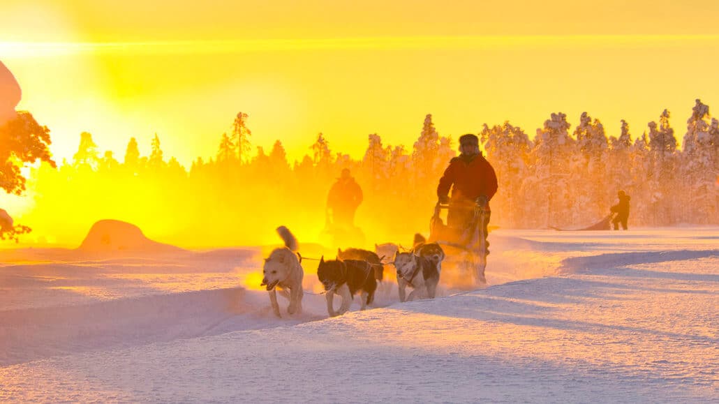 Hundeschlitten fährt durch den Schnee unter gelb leuchtendem Himmel