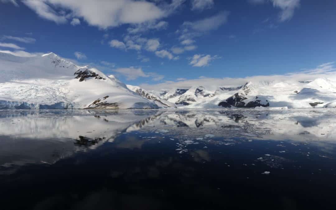 Außergewöhnliche Route: Abgelegene Weddellmeer-Entdecker intensiv inkl. Südgeorgien – Südliche Sandwichinseln – Neuschwabenland – Vahsel Bay – Larsen-Schelfeis – Paulet- und Teufelsinsel – Elephant Island | MS Ortelius