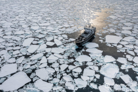MS Explorer steuert durch Eisschollen um Spitzbergen