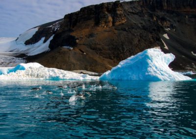 Pinguine im Formationsflug vor dem Brown Bluff Tafelvulkan