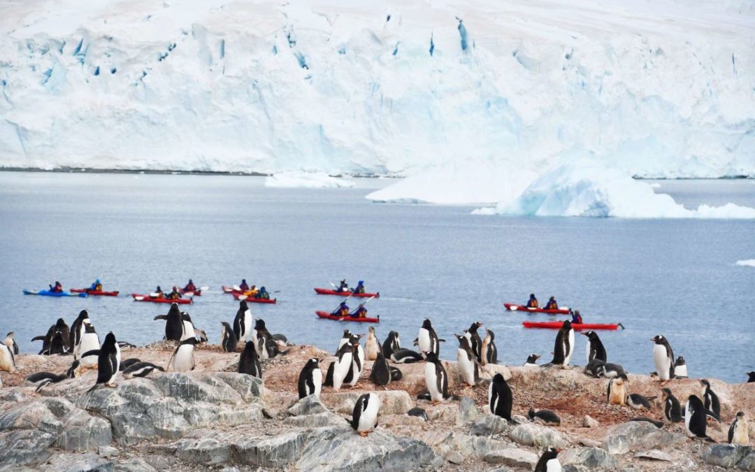 The Ultimate Antarctic Experience with a Crossing of the Antarctic Circle