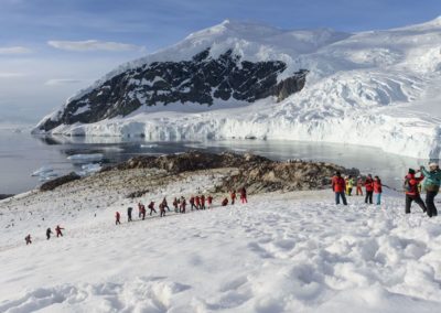 Gemeinsame Wanderung auf einer schneebedeckten antarktischen Insel