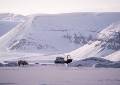 MS Villa auf Spitzbergen-Tour mit Eisbären im Vordergrund