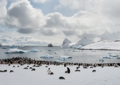 MS Sea Spirit vor einer Pinguin-Kolonie