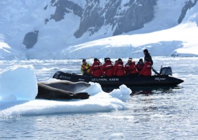 Zodiac fährt an einer Eischolle vorbei, worauf zwei Robben chillen