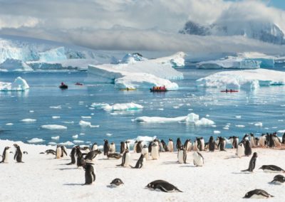 Kajak- und Zodiac-Fahrt vor Pinguin-Kolonie