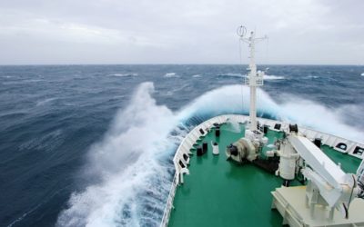 [Antarktis-Wiki] Wie Sie gesund und munter durch die Drake-Passage kommen
