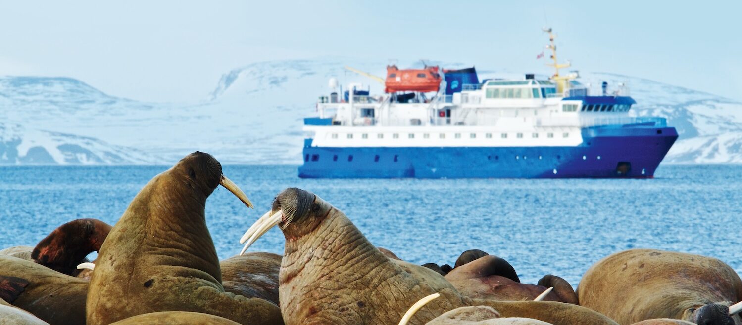 Spitzbergen-Abenteuer Expedition