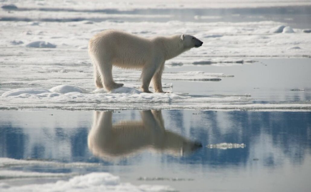 Explorer of northern Spitsbergen