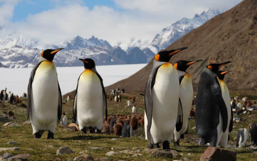 Patagonien und Feuerland auf eigene Faust