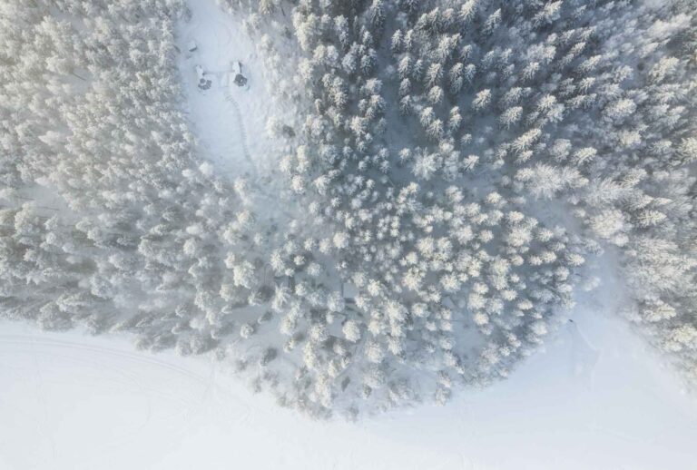 Zwei Lapland Cone Rooms im Wald von oben