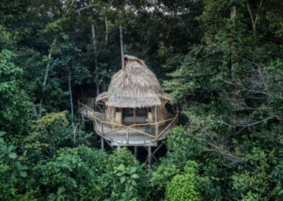 Ein einzelner Pavillon auf Stelzen mit umlaufender Veranda im Regenwald