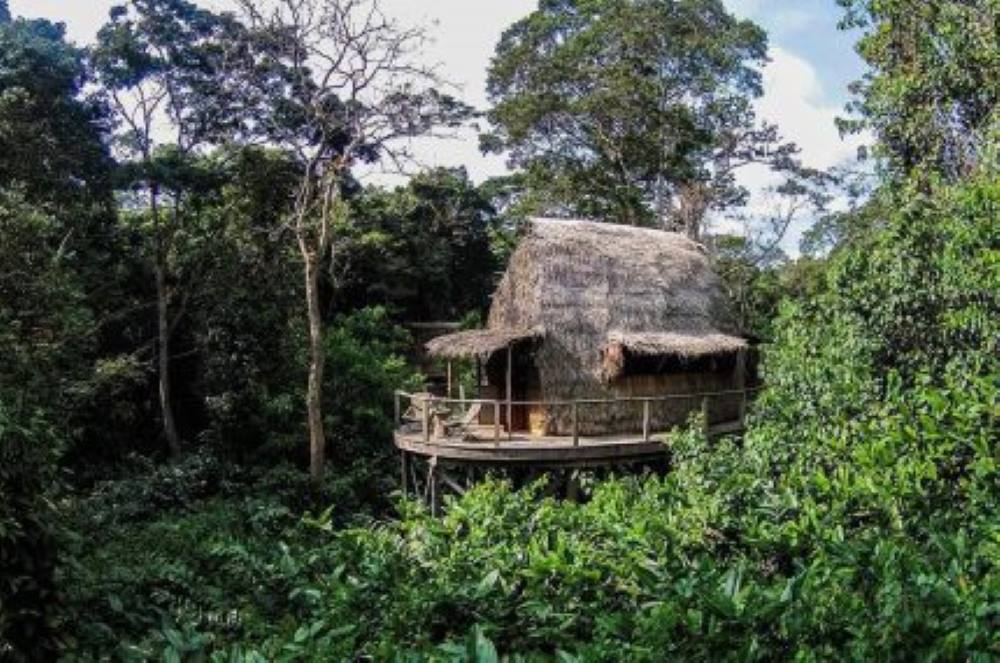 Mit Palmwedeln gedeckte kleine Hütte mit umlaufender Veranda mitten im Regenwald