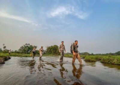 Vier Menschen waten durch flaches Wasser in einem sumpfigen Gebiet.