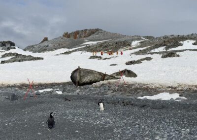 Ein Boot liegt an einem steinigen Strand, dahinter gehen einige Menschen über Eis und Geröll auf einen Hügel