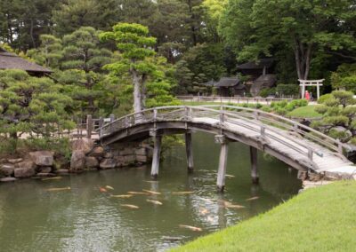 Im Garten Koraku-en spannt sich eine kleine Brücke über ein Gewässer, in dem sich Kois tummeln