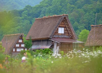 A historic farmhouse with a thatched roof
