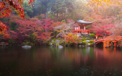 8 Gründe, warum Japan auf Ihrer Reise-Bucketlist stehen muss