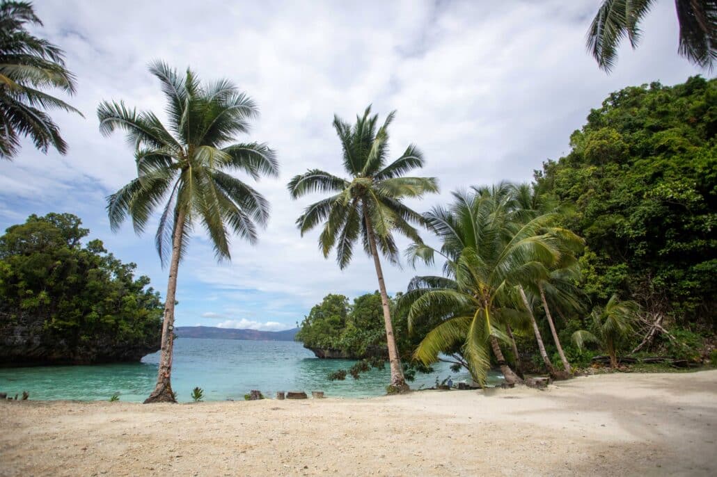 Tropische Bucht mit Sandstrand und Palmen