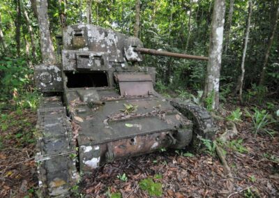 Ein verrostender Panzer in einem Wald