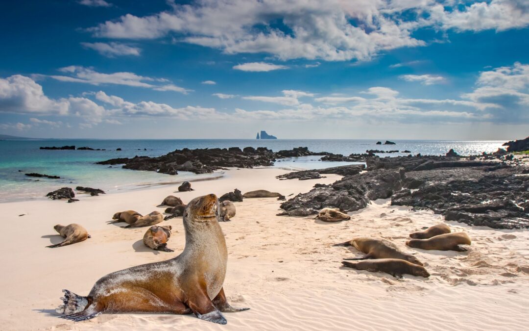Western Galápagos Expedition through Ecuador's Noah's Ark