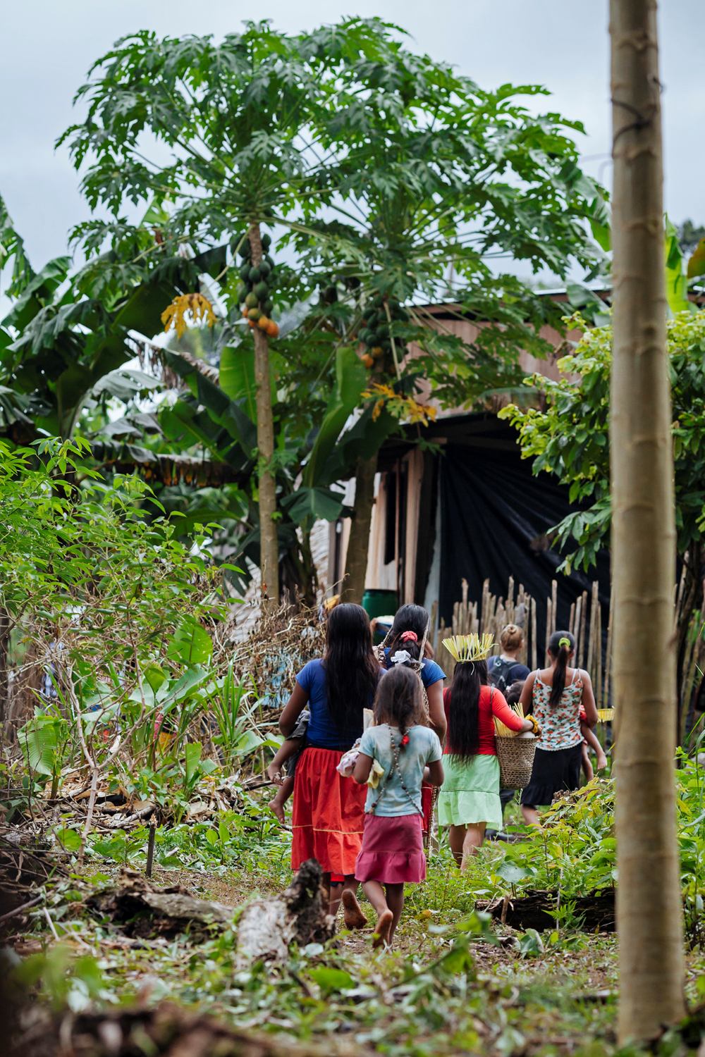 anakonda-amazonas-eduador_quichua-wohnhuette_anakonda-amazon-cruises Mehrere Menschen gehen auf einem Pfad zwischen exotischen Bäumen zu einer Hütte