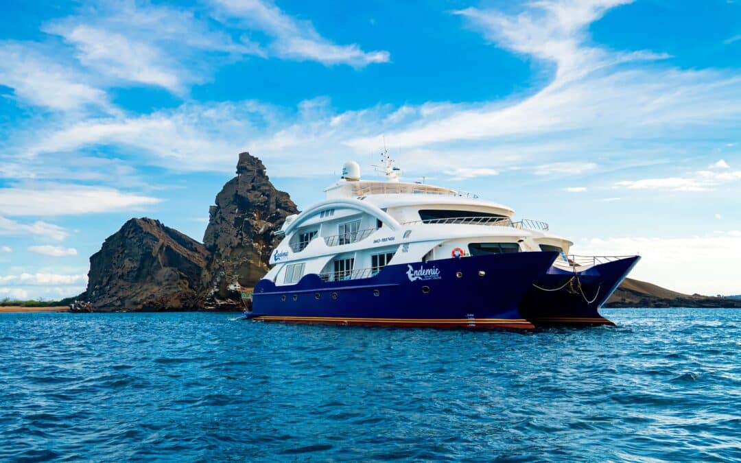 MS Endemic | Premium expedition catamaran in the Galapagos Islands | Max. 16 passengers