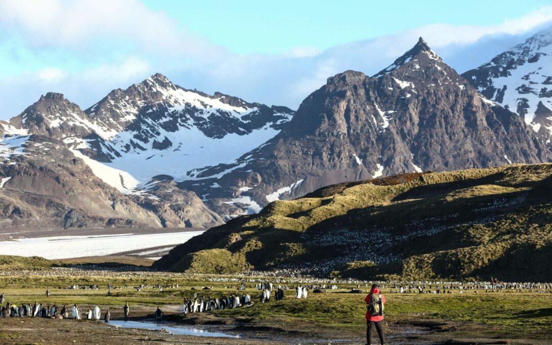 Die ultimative Naturexpedition | MS Sea Spirit