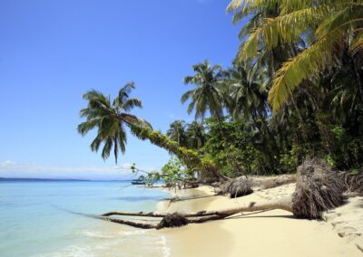 Weißer Sandstrand mit Palmen auf den Zapatillas-Inseln im Nationalpark Bocas del Toro Panama