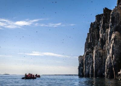 Steile Basaltklippen der Vogelkolonie Alkefjellet mit zehntausenden Dickschnabellummen auf Spitzbergen