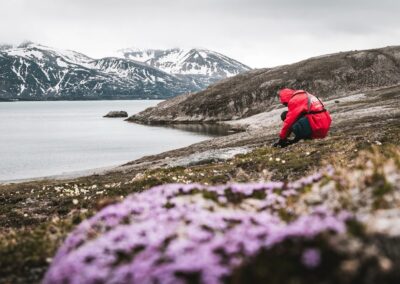 Fotograf macht Nahaufnahme arktischer Blüten in der Tundra Spitzbergens