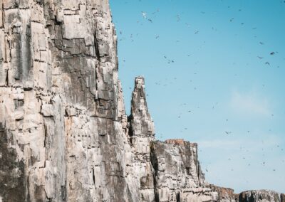 Steile Basaltklippe als Vogelnistplatz in einem Fjord Spitzbergens