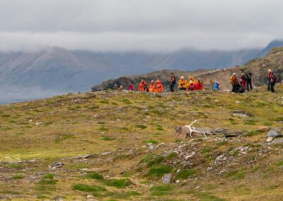 Expeditionsgruppe wandert in der Tundra bei Longyearbyen vorbei an einem Rentier-Geweih