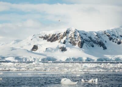 Schneebedeckte Berge der Antarktischen Halbinsel mit treibenden Eisbergen