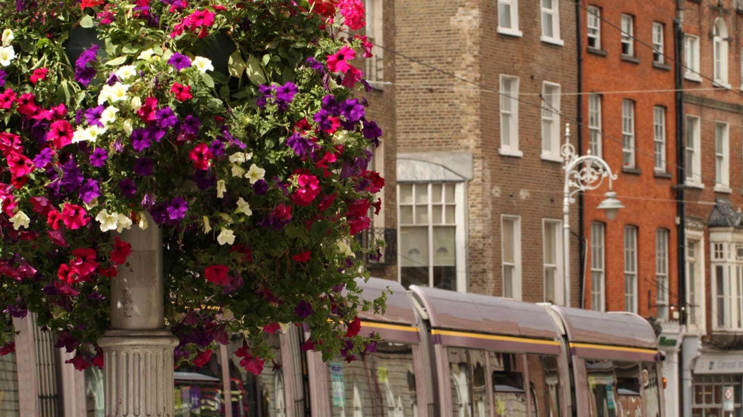 Dublin Harcourt Street Georgian Tram