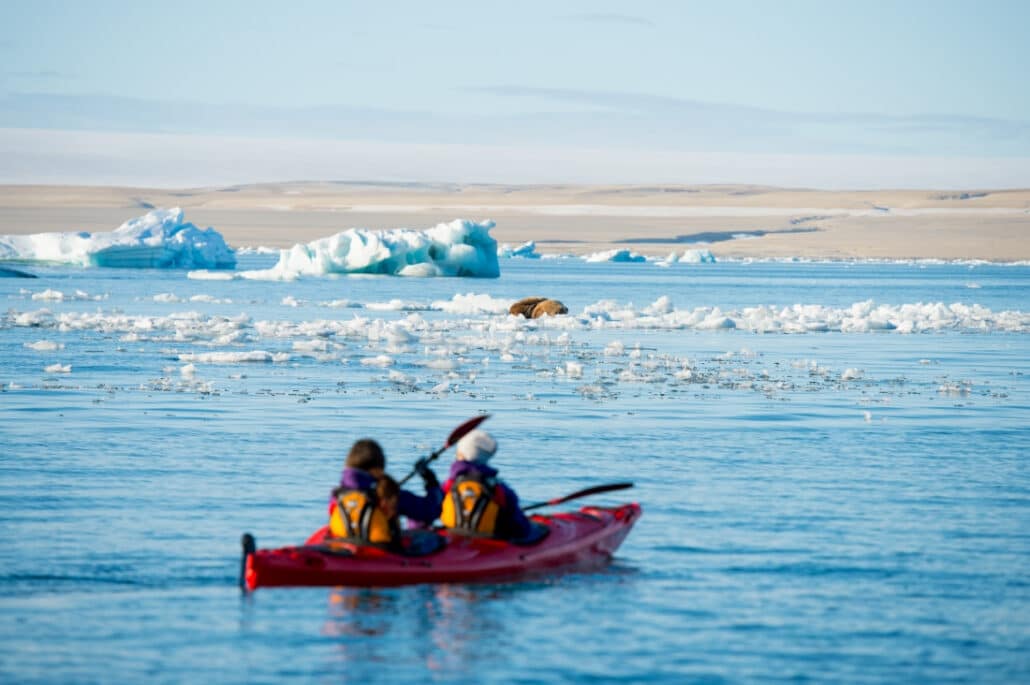 A two-person kayak paddles through drift ice toward walruses on an ice floe, North Spitsbergen