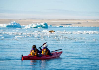 Doppelkajak paddelt durch Treibeis auf Walrosse auf Eisscholle zu, Nordspitzbergen