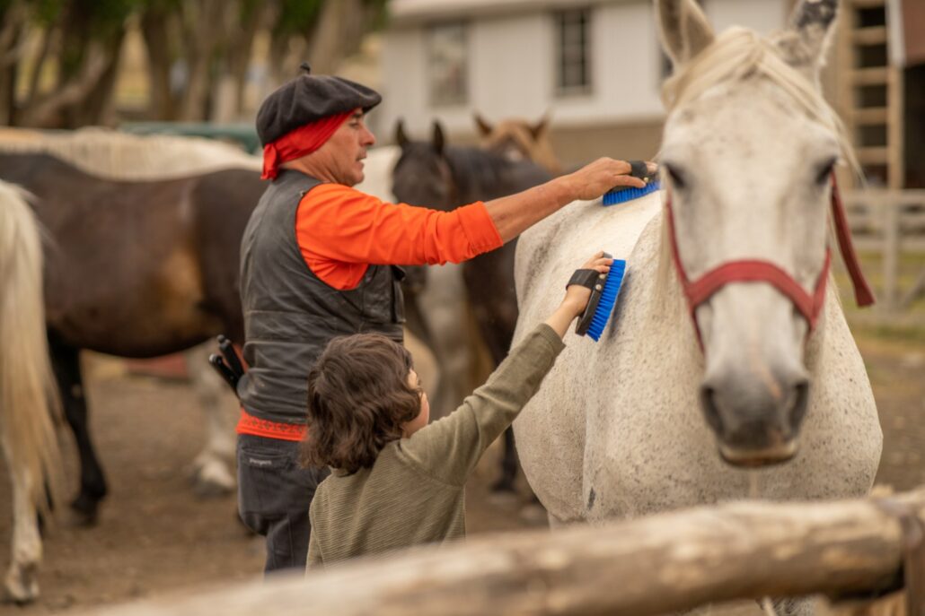 Gaucho und Kind striegeln ein Pferd der Estancia