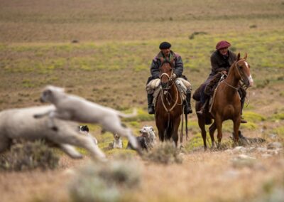 Zwei Gauchos reiten durch die sommerliche Steppe Patagoniens