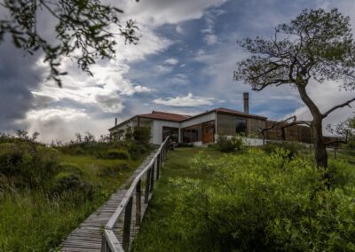 Estancia-Gebäude mit Holzsteg und Lenga-Baum