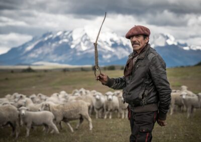 Gaucho mit Schafherde vor dem Torres-del-Paine-Massiv
